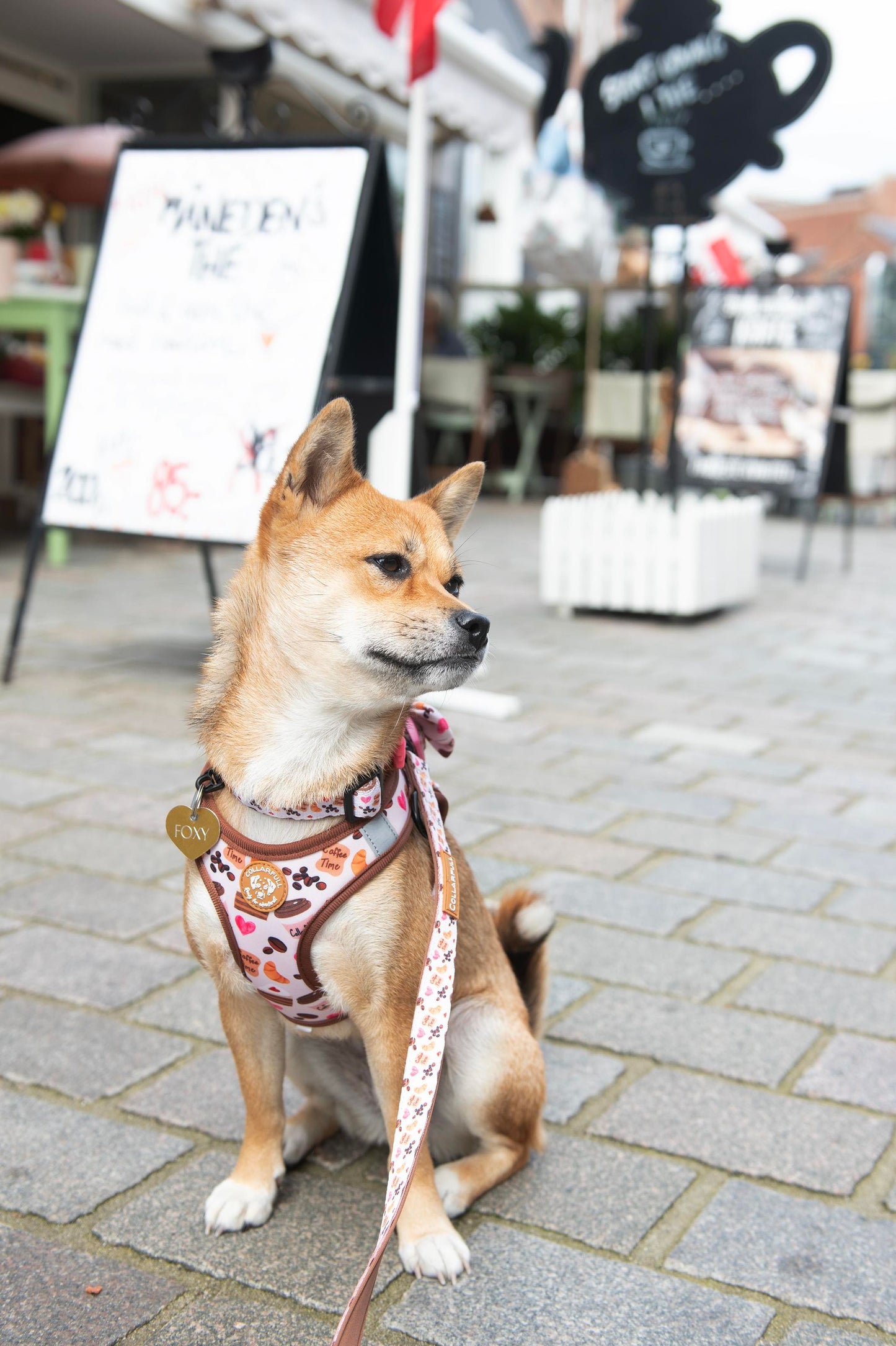 Tiny Trails step-in hundesele - Take a break, with Coffee N' Cake