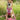 Adventure Trails hundesele - Pink Panther