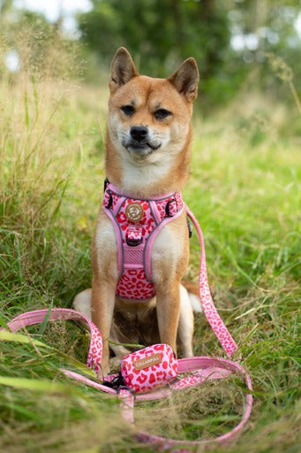 Adventure Trails hundesele - Pink Panther