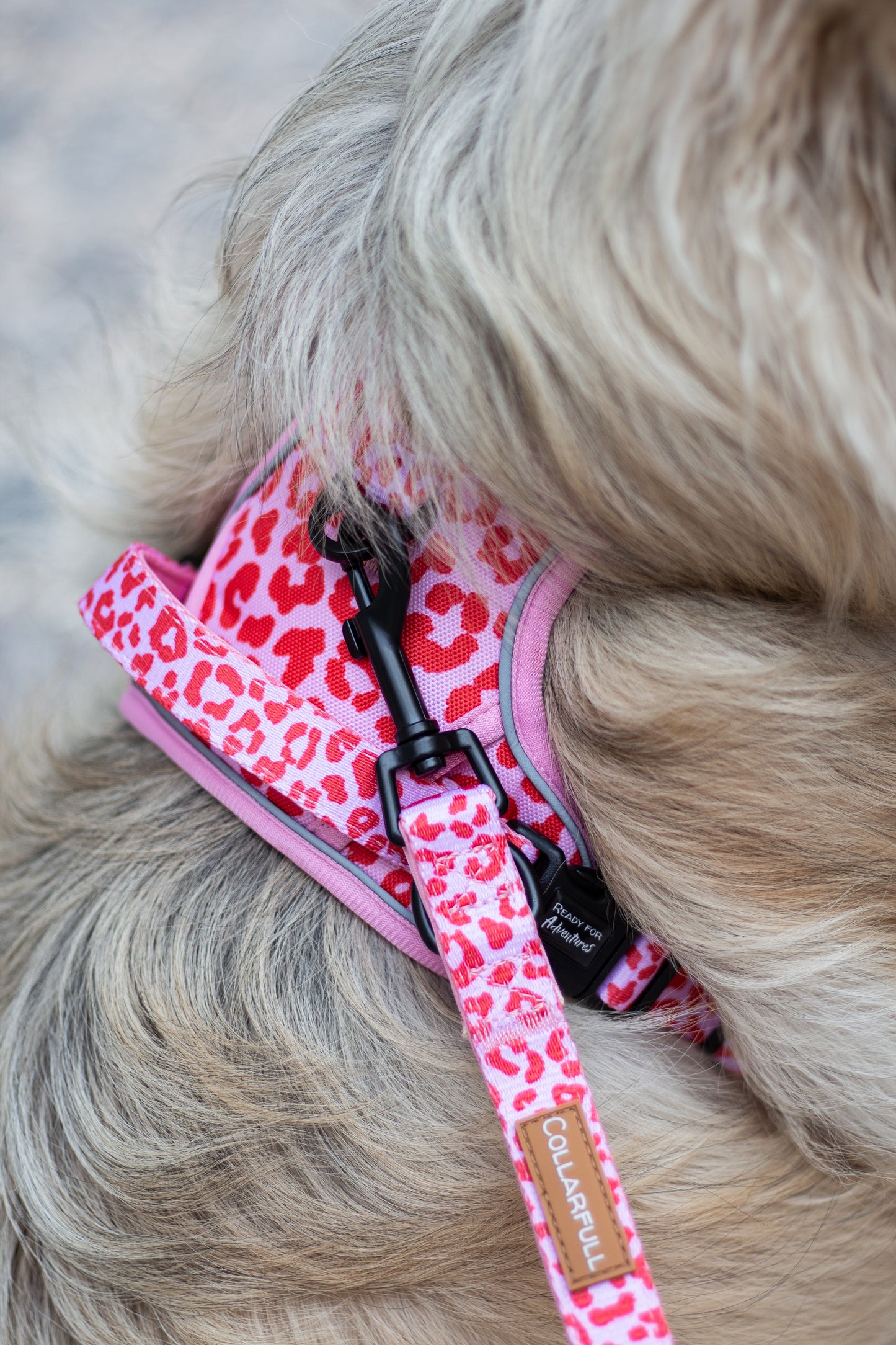 Adventure Trails hundesele - Pink Panther