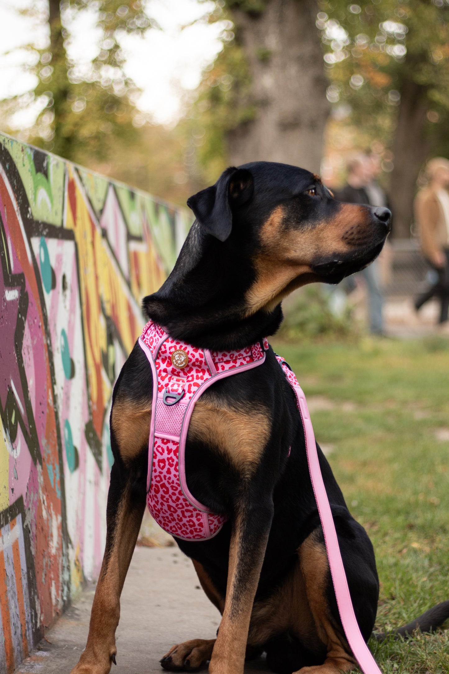 Adventure Trails hundesele - Pink Panther