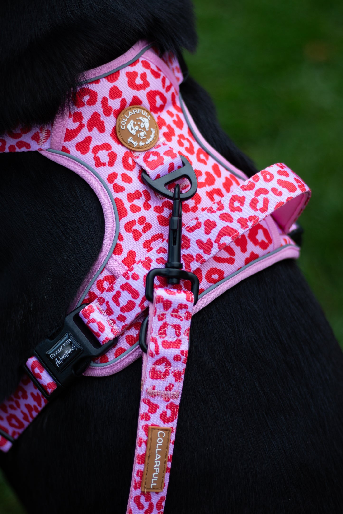 Adventure Trails hundesele - Pink Panther