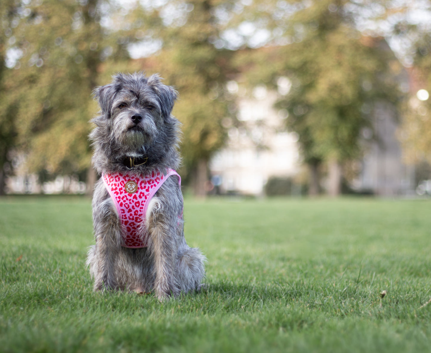 Tiny Trails step-in hundesele - Pink Panther