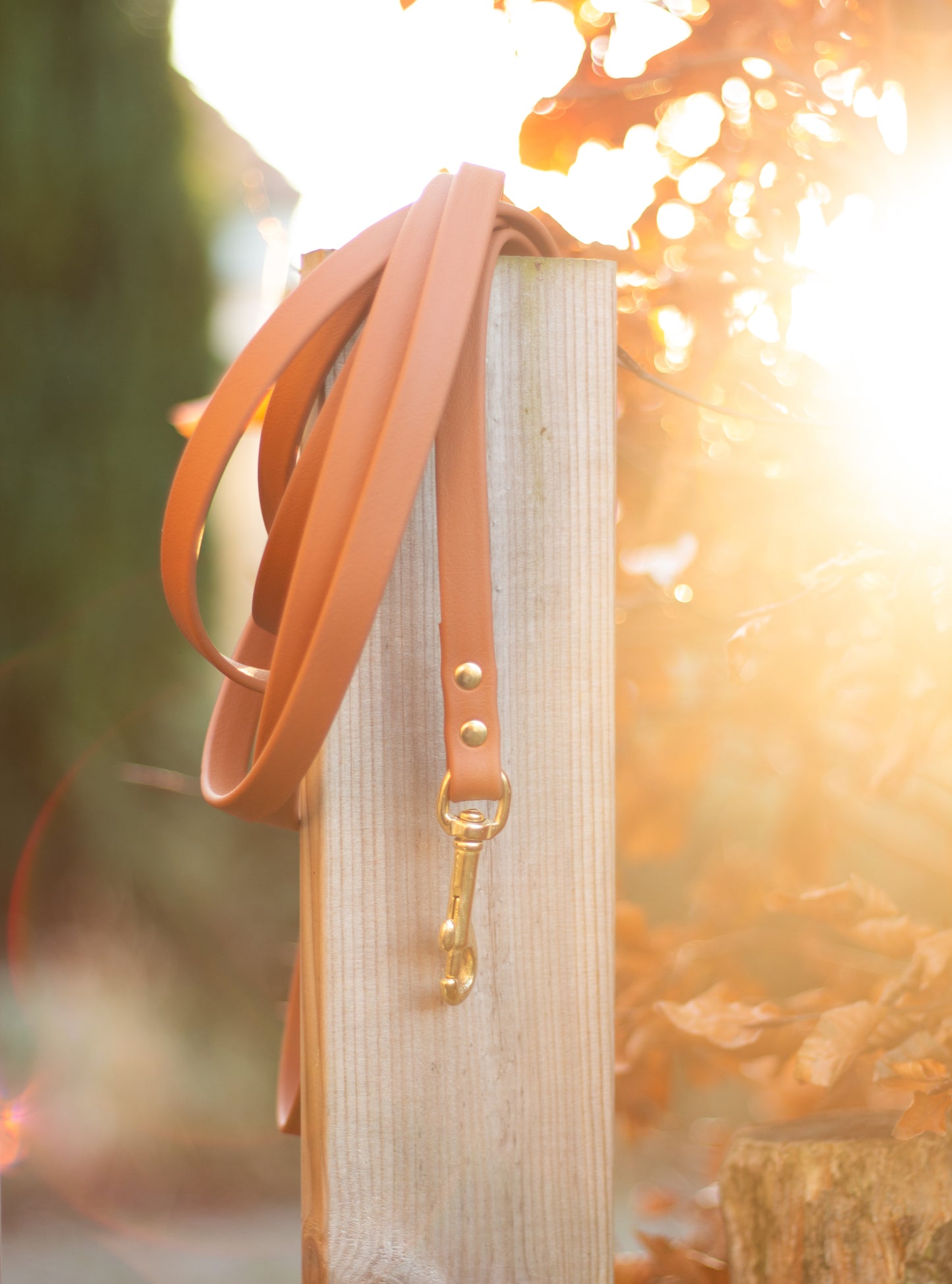 Biothane Adventure hundesnor - 16 mm