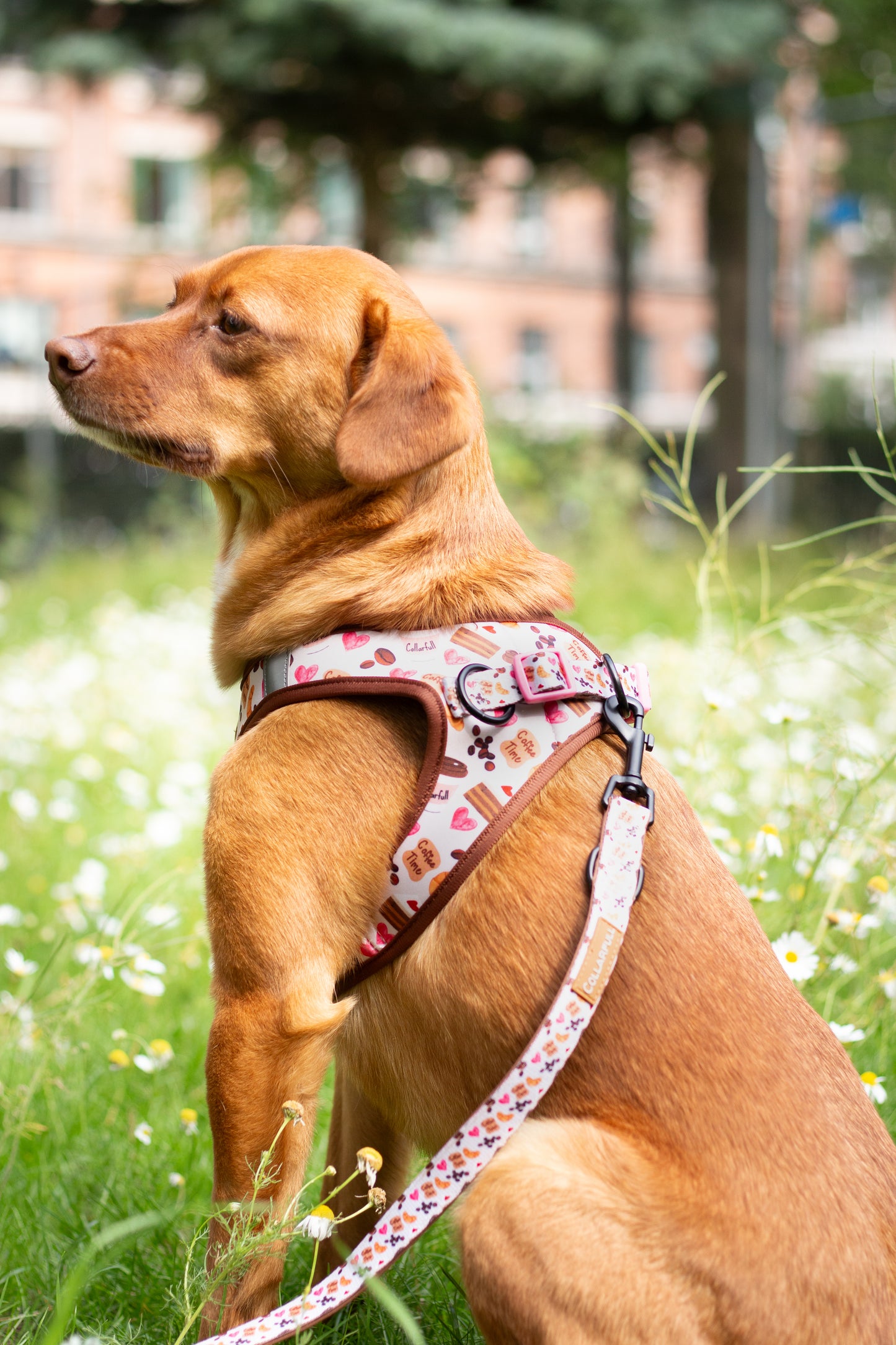 Tiny Trails step-in hundesele - Take a break, with Coffee N' Cake