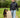 Tips til at lære din hund at gå pænt i snor