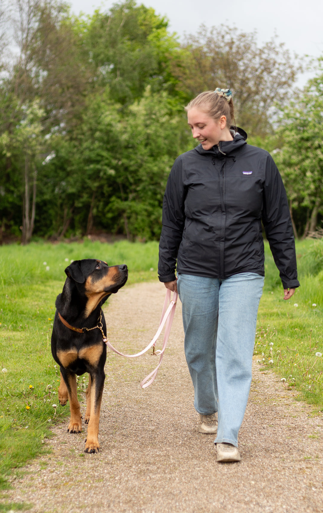 Tips til at lære din hund at gå pænt i snor