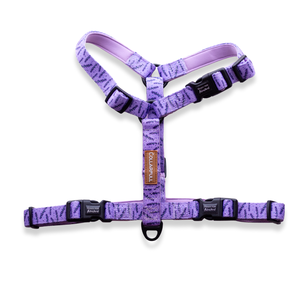 Dog harnesses