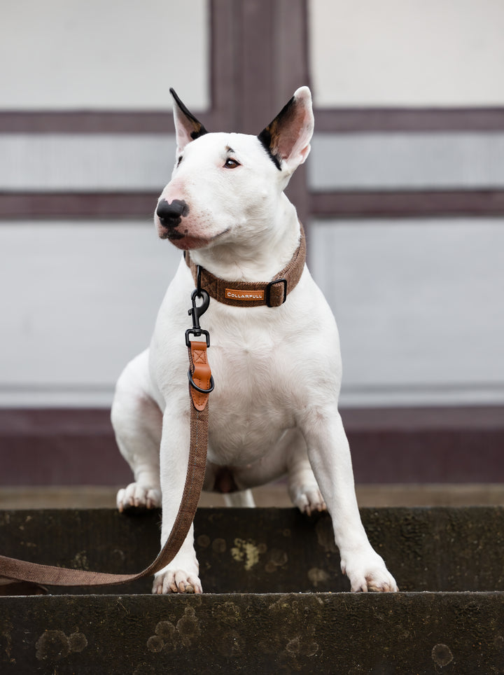 Justerbar hundesnor - Brown Herringbone Tweed