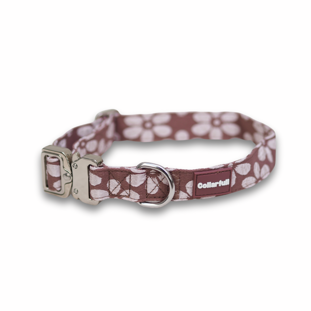Dog collar