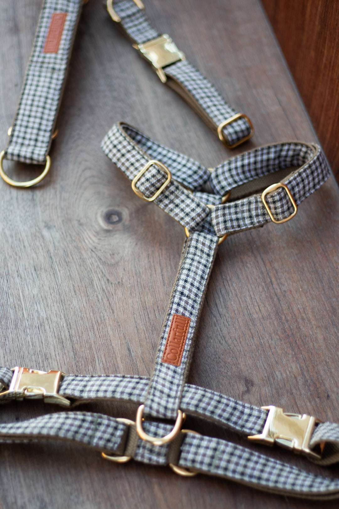 Y dog harness - Sherlock